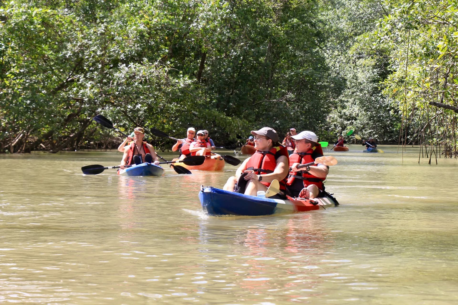 Tour de Manglares en Bote